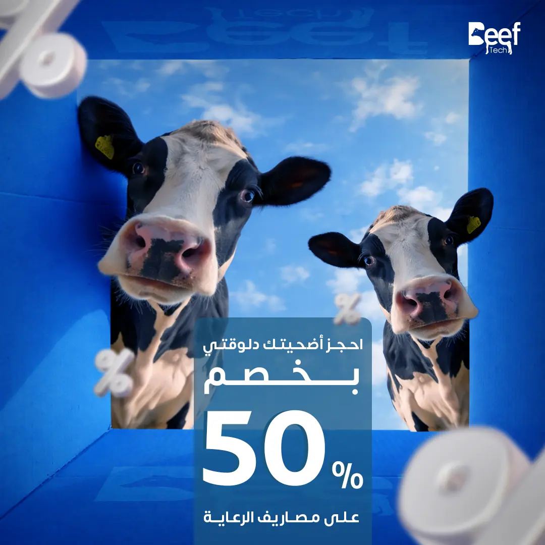 BeefTech — design
