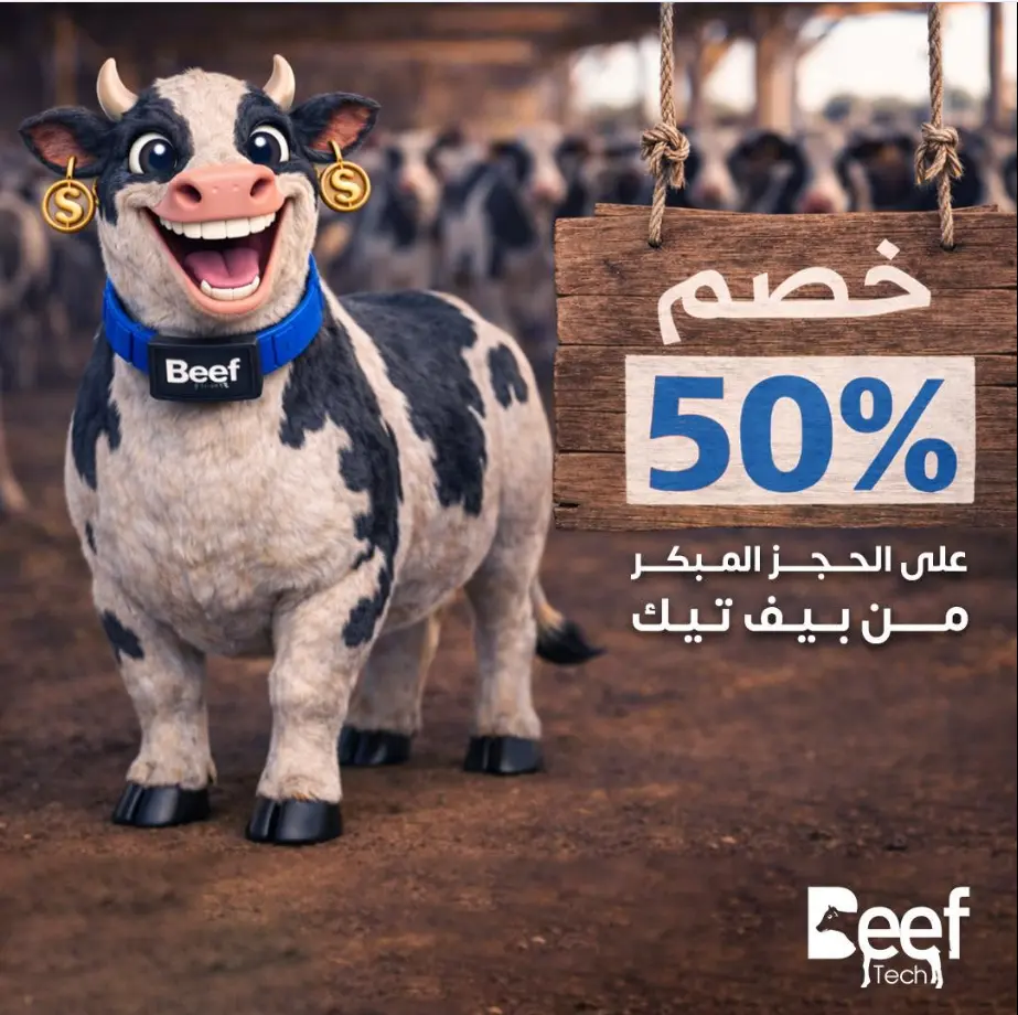 BeefTech — design